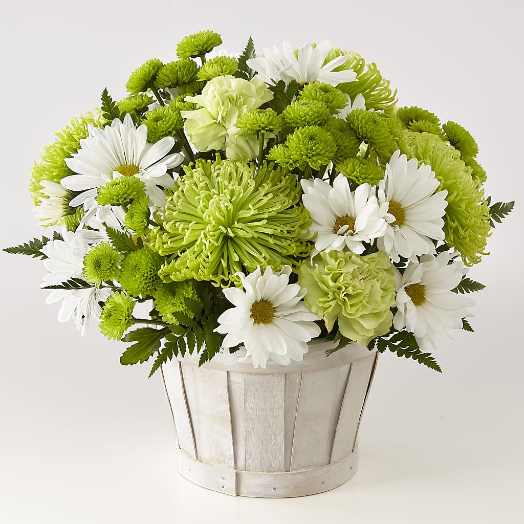 Lucky Charm Basket (Standard) – Mary Blooms Florist, Port Saint Lucie FL