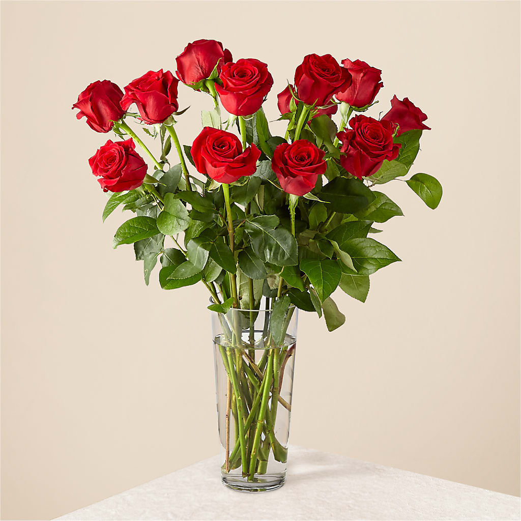 Long Stem Red Rose Bouquet – Mary Blooms Florist, Port Saint Lucie FL