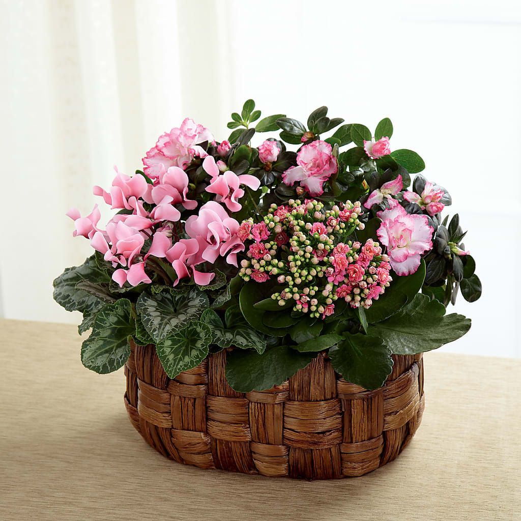 Pink Assortment – Mary Blooms Florist, Port Saint Lucie FL
