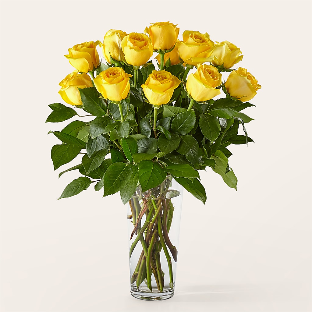 Long Stem Yellow Rose Bouquet – Mary Blooms Florist, Port Saint Lucie FL