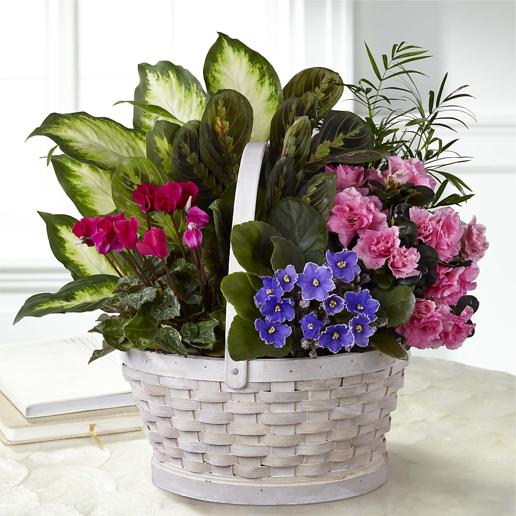 Peaceful Garden Planter – Mary Blooms Florist, Port Saint Lucie FL