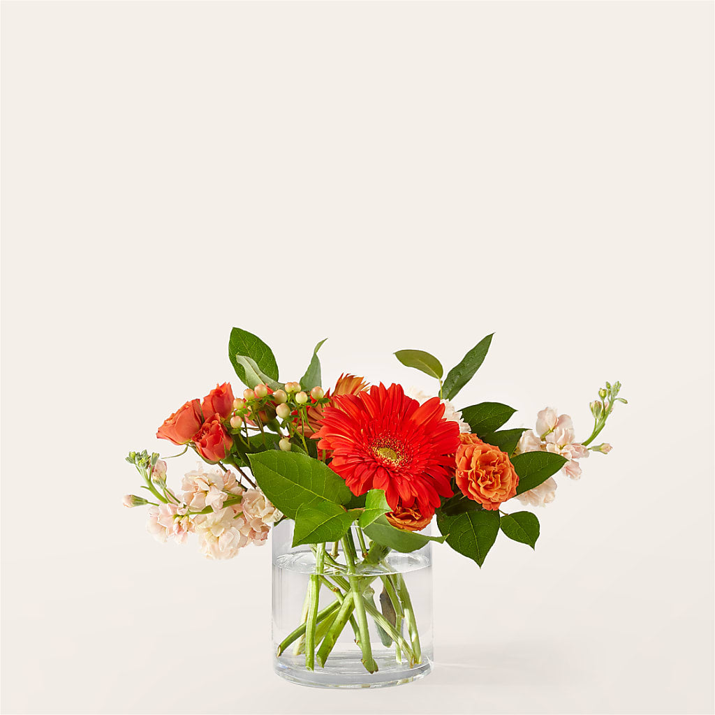 Paloma Please Bouquet – Mary Blooms Florist, Port Saint Lucie FL