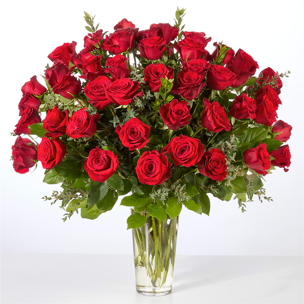 Forever Yours Fifty Stem Red Rose Bouquet – Mary Blooms Florist, Port Saint Lucie FL
