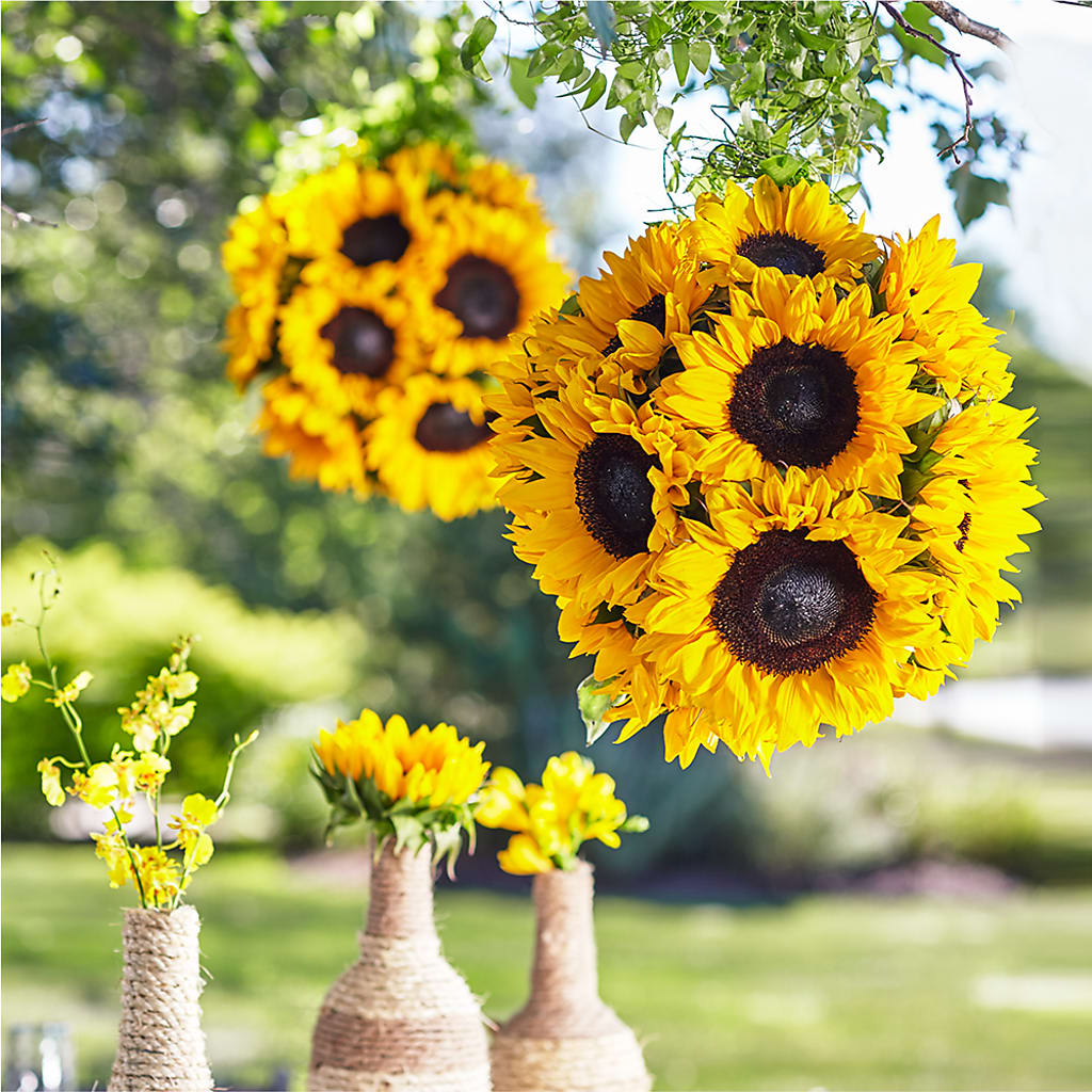 Sublime Garden Hanging Arrangement – Mary Blooms Florist, Port Saint Lucie FL