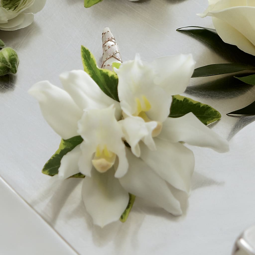 White Mini Cymbidium Boutonniere – Mary Blooms Florist, Port Saint Lucie FL