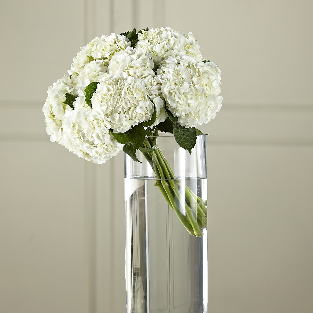 White Hydrangea Hand-Tied Bouquet – Mary Blooms Florist, Port Saint Lucie FL