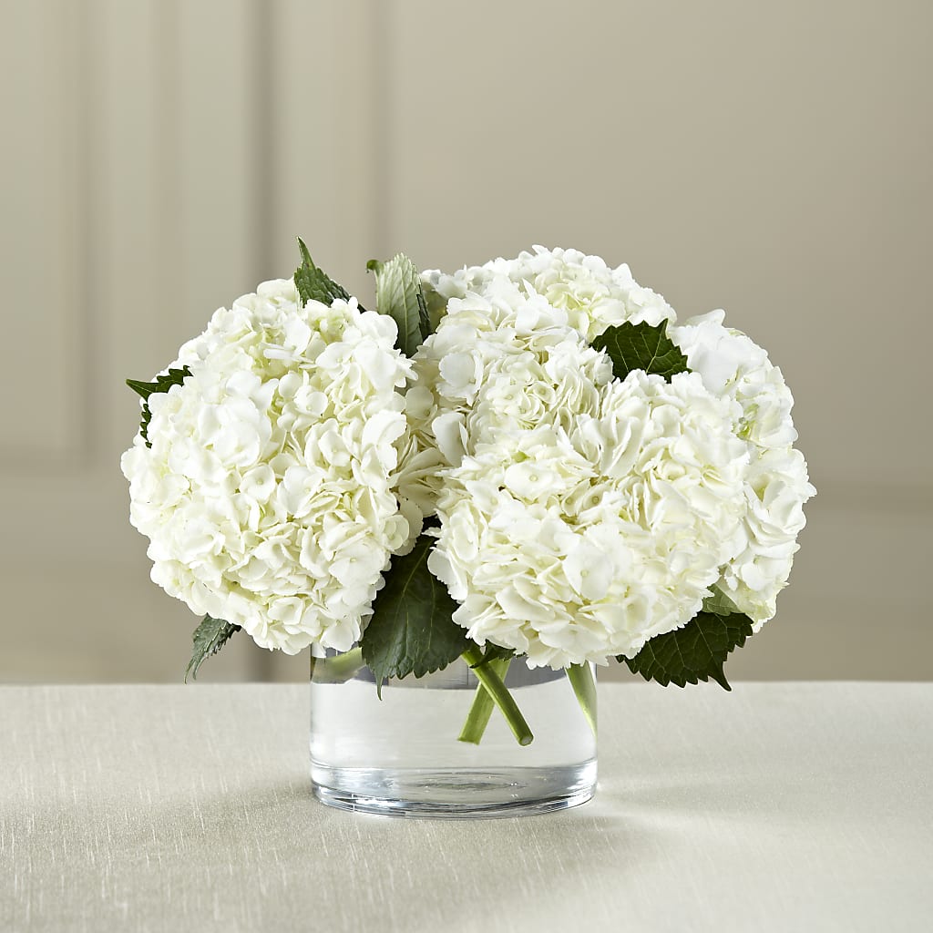 White Hydrangea Bouquet – Mary Blooms Florist, Port Saint Lucie FL