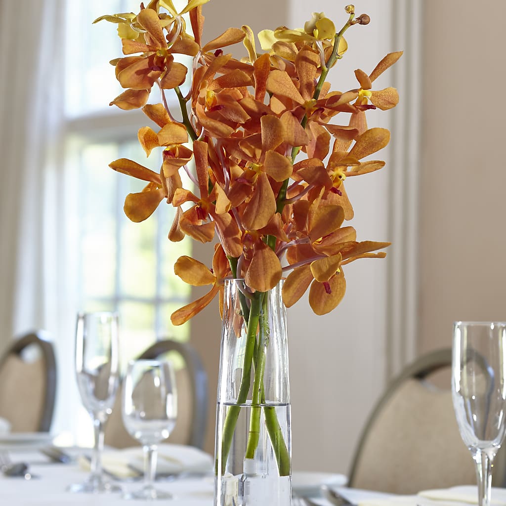 Orange Mokara Bud Vase – Mary Blooms Florist, Port Saint Lucie FL