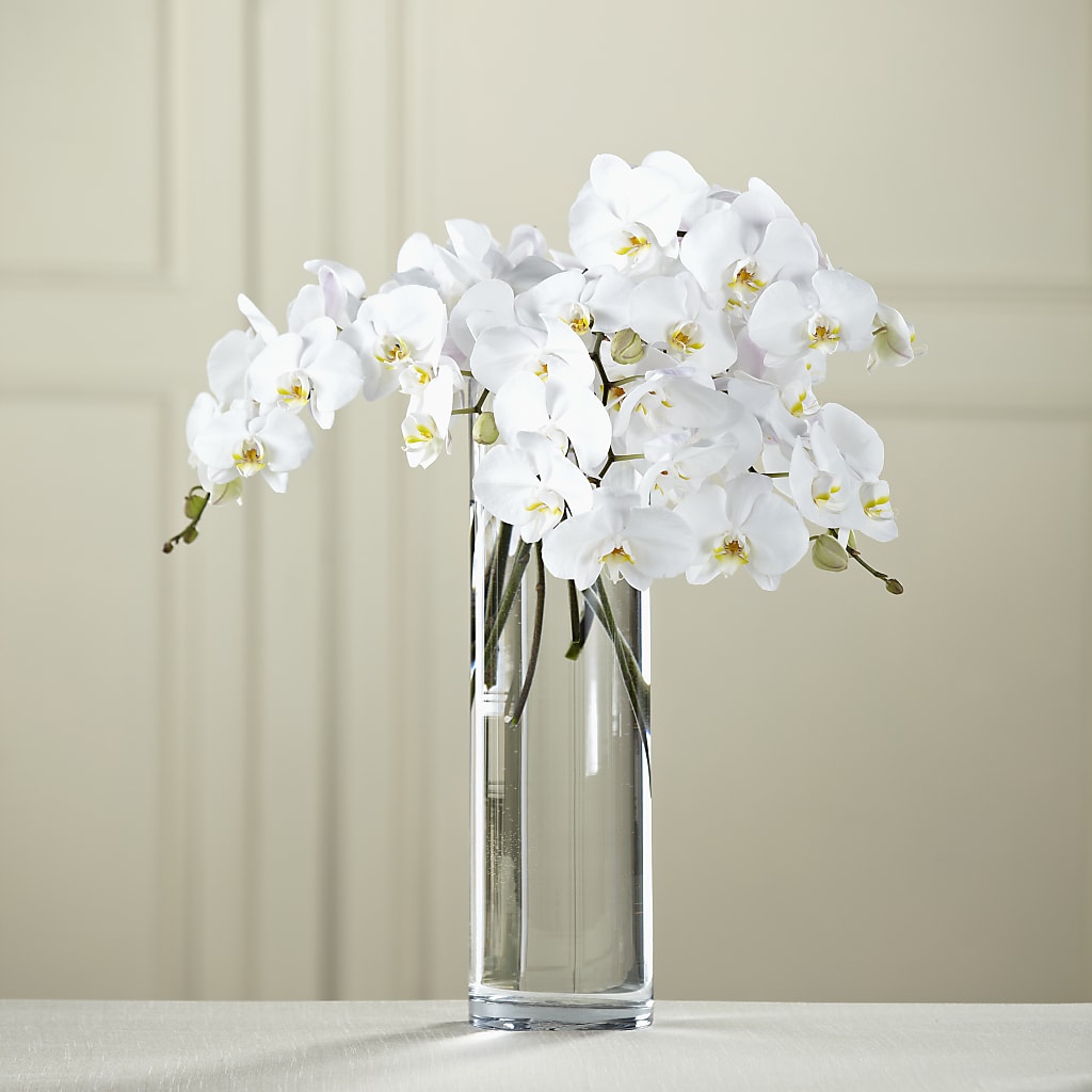 White Phalaenopsis Bouquet – Mary Blooms Florist, Port Saint Lucie FL