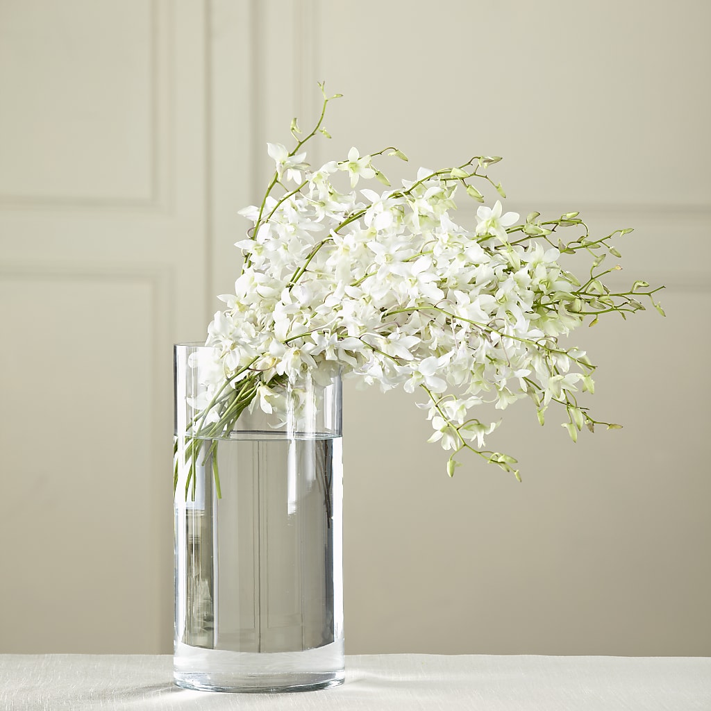 White Dendrobium Bouquet – Mary Blooms Florist, Port Saint Lucie FL
