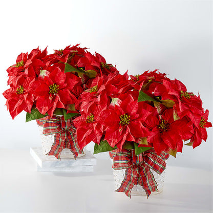 Happiest Holidays Poinsettia Bundle –  Mary Blooms Florist, Port Saint Lucie FL