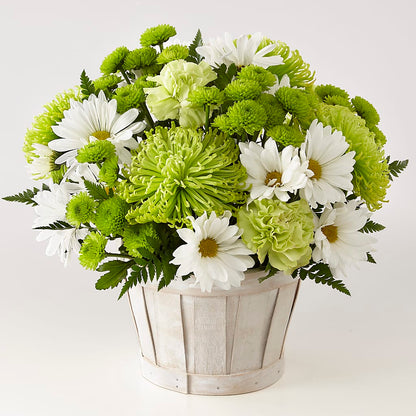 Lucky Charm Basket (Standard) –  Mary Blooms Florist, Port Saint Lucie FL