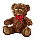 Adorable Plush Bear –  Mary Blooms Florist, Port Saint Lucie FL