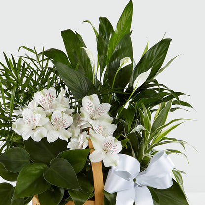 Peace & Serenity Dishgarden –  Mary Blooms Florist, Port Saint Lucie FL