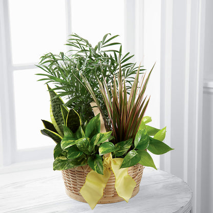 French Garden –  Mary Blooms Florist, Port Saint Lucie FL