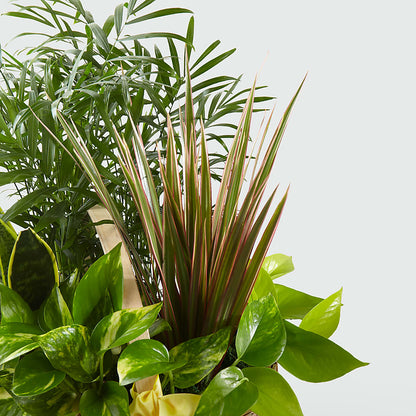 French Garden –  Mary Blooms Florist, Port Saint Lucie FL