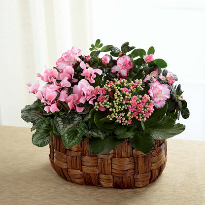 Pink Assortment –  Mary Blooms Florist, Port Saint Lucie FL