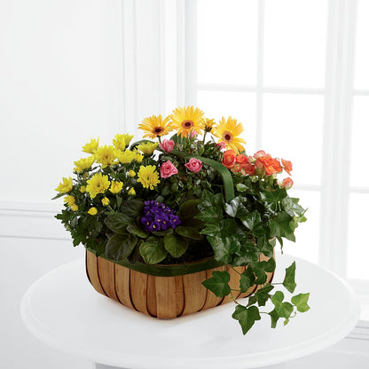 Gentle Blossoms Basket –  Mary Blooms Florist, Port Saint Lucie FL