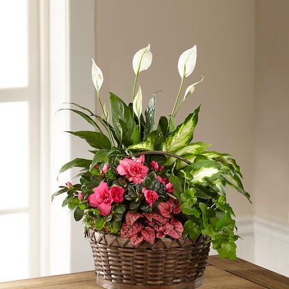 Dream in Pink Dishgarden –  Mary Blooms Florist, Port Saint Lucie FL