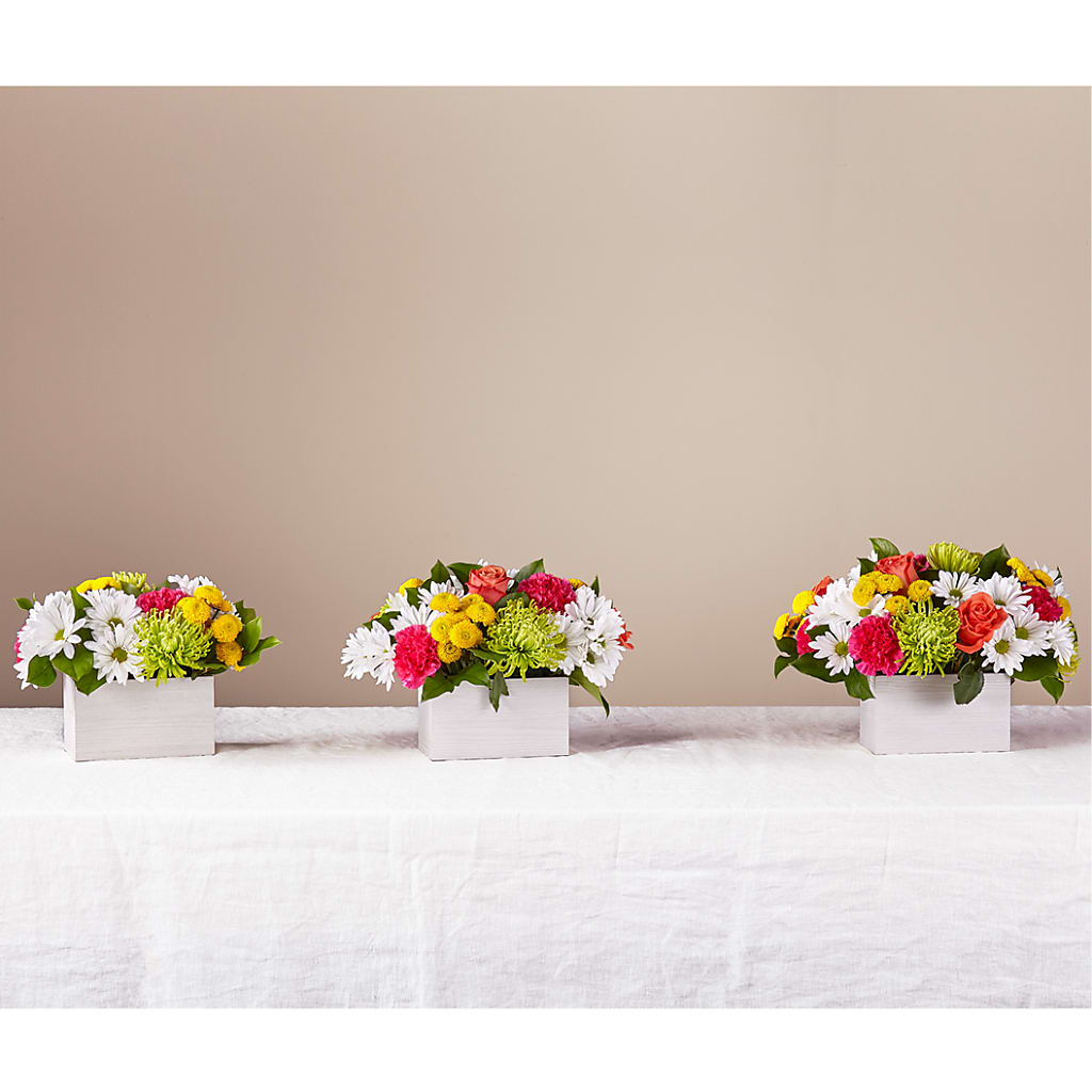 Sorbet Bouquet –  Mary Blooms Florist, Port Saint Lucie FL