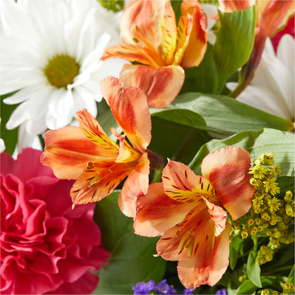 Oopsie Daisy Box Bouquet –  Mary Blooms Florist, Port Saint Lucie FL