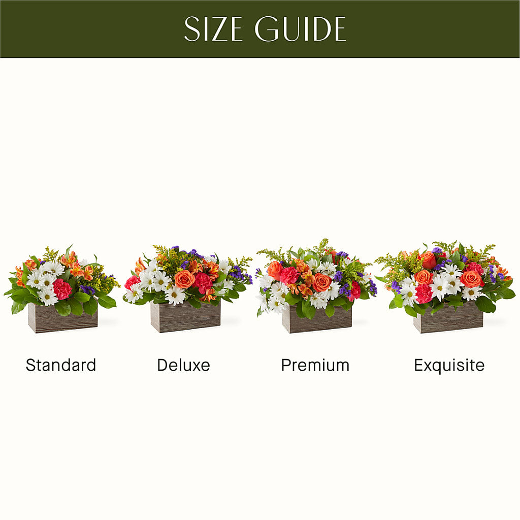 Oopsie Daisy Box Bouquet –  Mary Blooms Florist, Port Saint Lucie FL