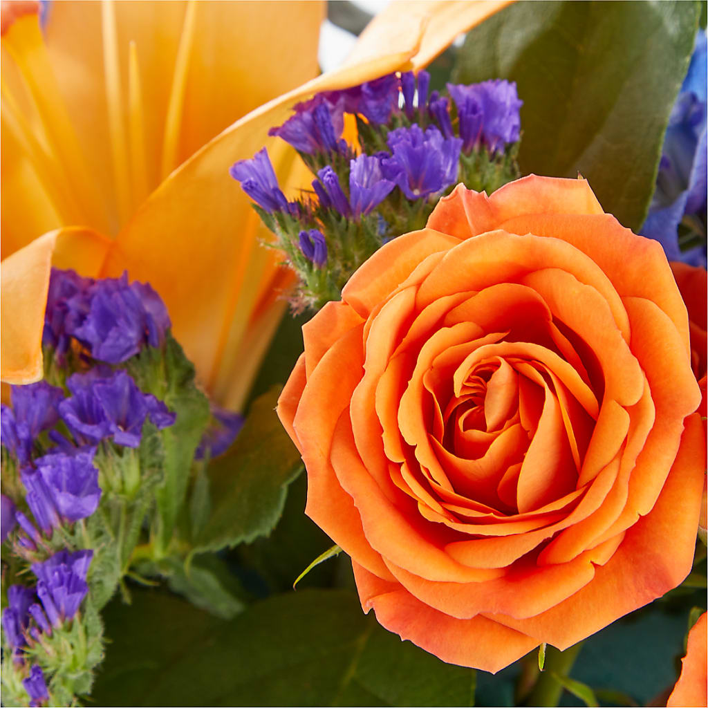 Radiant Citrus Box Bouquet –  Mary Blooms Florist, Port Saint Lucie FL