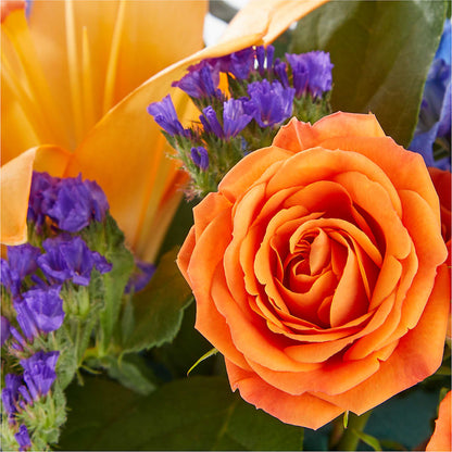 Radiant Citrus Box Bouquet –  Mary Blooms Florist, Port Saint Lucie FL