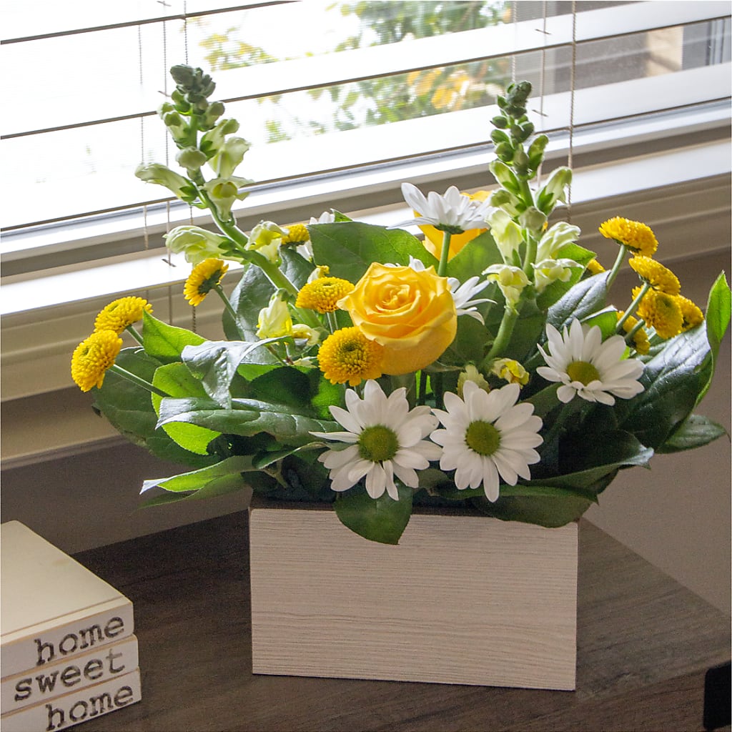 Sun Salutation Box Bouquet –  Mary Blooms Florist, Port Saint Lucie FL