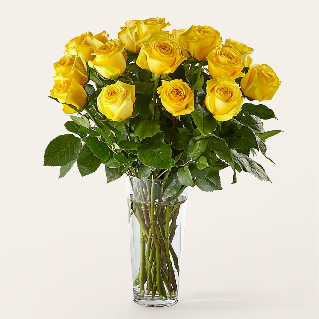 Long Stem Yellow Rose Bouquet –  Mary Blooms Florist, Port Saint Lucie FL