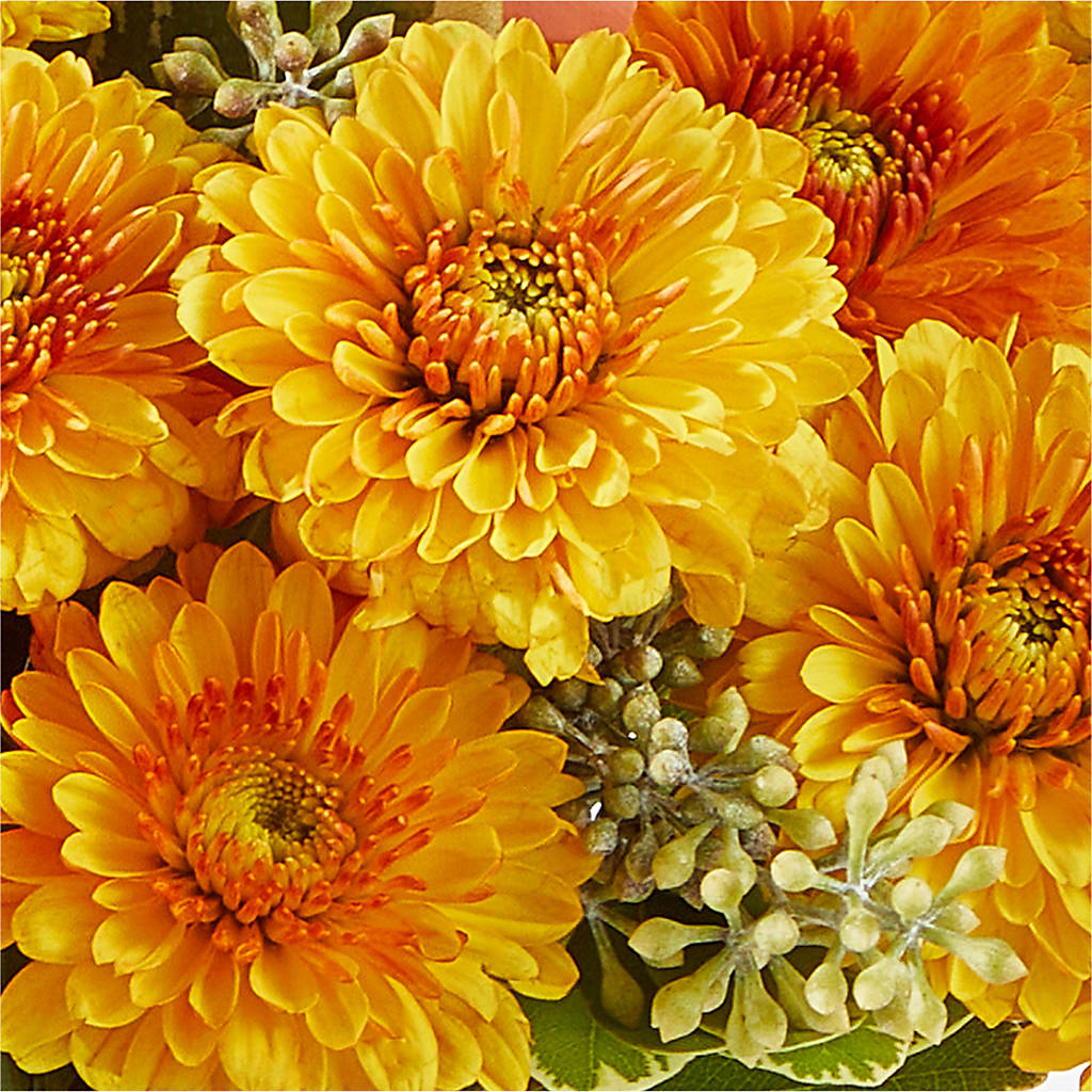 Peachy Pumpkin –  Mary Blooms Florist, Port Saint Lucie FL