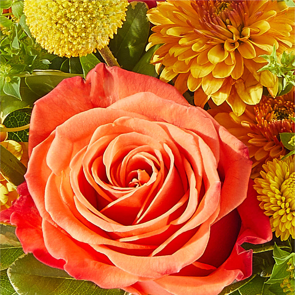 Gourdgeous Pumpkin –  Mary Blooms Florist, Port Saint Lucie FL