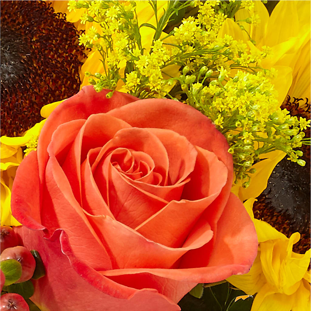 Pick of the Patch Pumpkin Bouquet –  Mary Blooms Florist, Port Saint Lucie FL