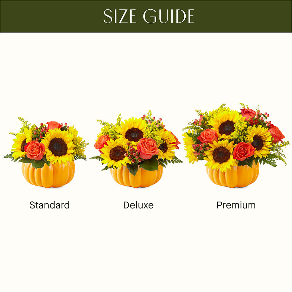 Pick of the Patch Pumpkin Bouquet –  Mary Blooms Florist, Port Saint Lucie FL