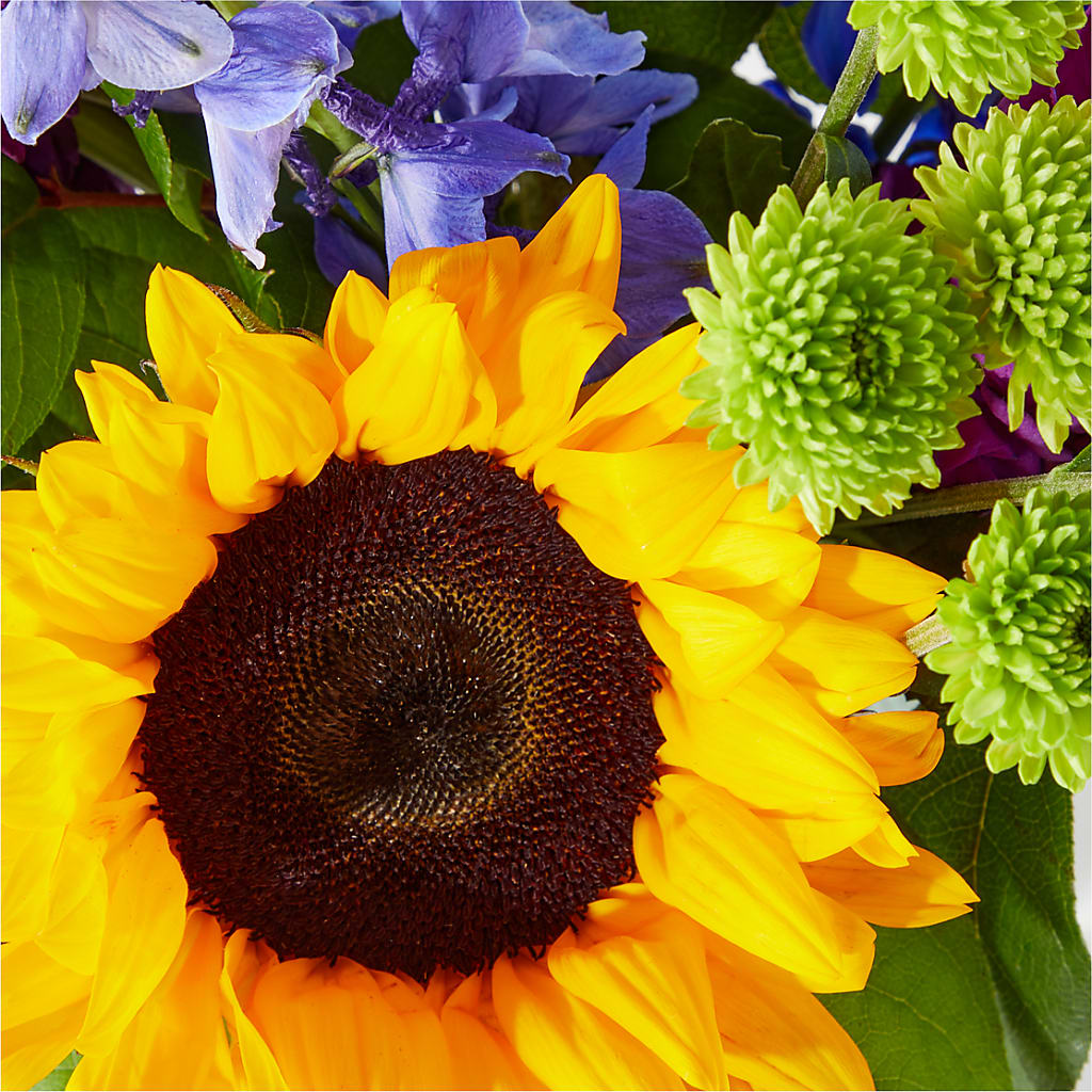 Catching Rays Bouquet –  Mary Blooms Florist, Port Saint Lucie FL