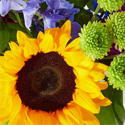 Catching Rays Bouquet –  Mary Blooms Florist, Port Saint Lucie FL