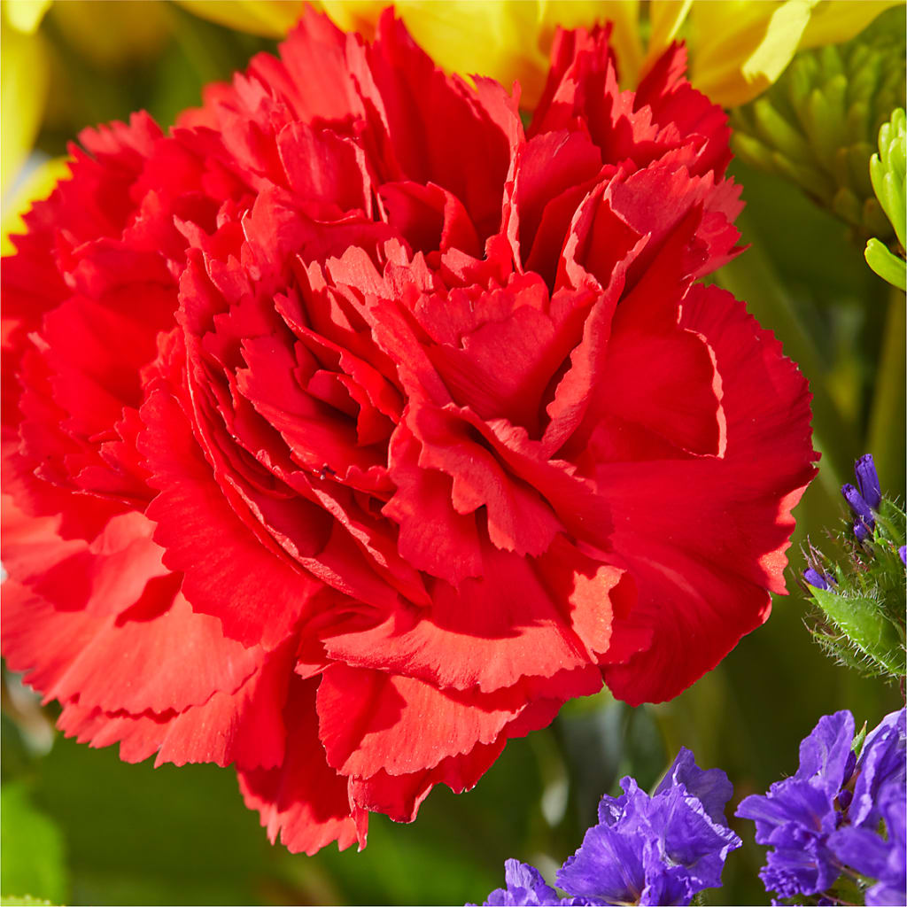 Brighter Days Bouquet –  Mary Blooms Florist, Port Saint Lucie FL