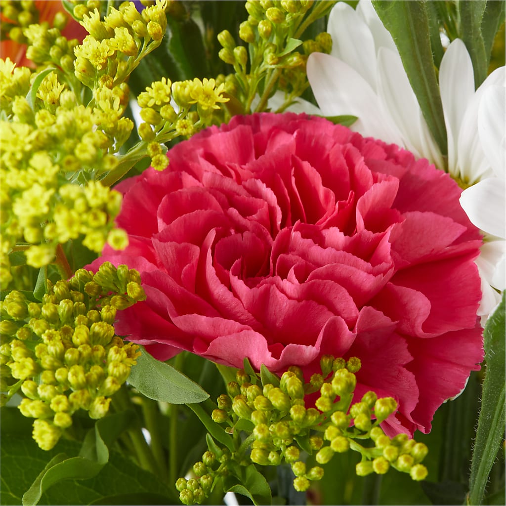 Oopsie Daisy Bouquet –  Mary Blooms Florist, Port Saint Lucie FL