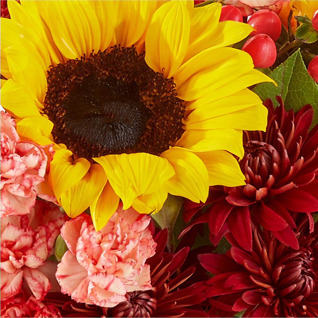Fresh Cider Bouquet –  Mary Blooms Florist, Port Saint Lucie FL
