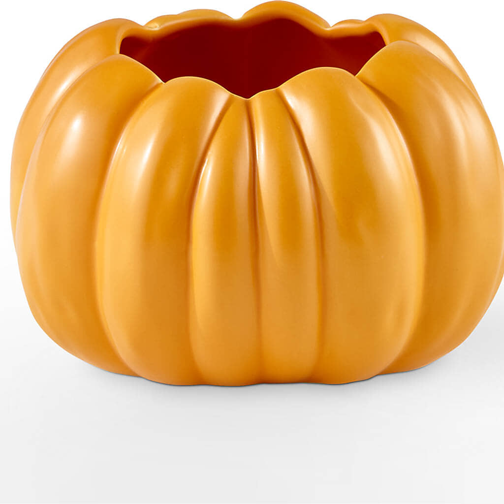 Golden Gourd Pumpkin Bouquet –  Mary Blooms Florist, Port Saint Lucie FL
