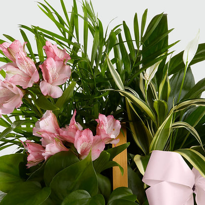 Living Spirit Dishgarden –  Mary Blooms Florist, Port Saint Lucie FL