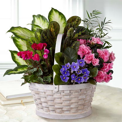 Peaceful Garden Planter –  Mary Blooms Florist, Port Saint Lucie FL