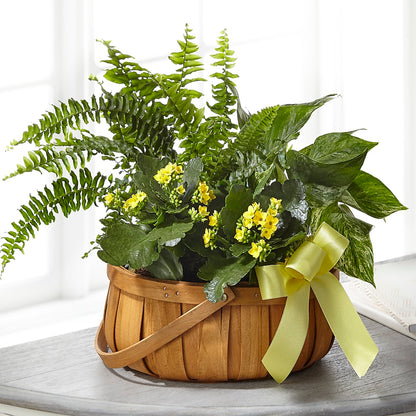 Always Dear Dishgarden –  Mary Blooms Florist, Port Saint Lucie FL