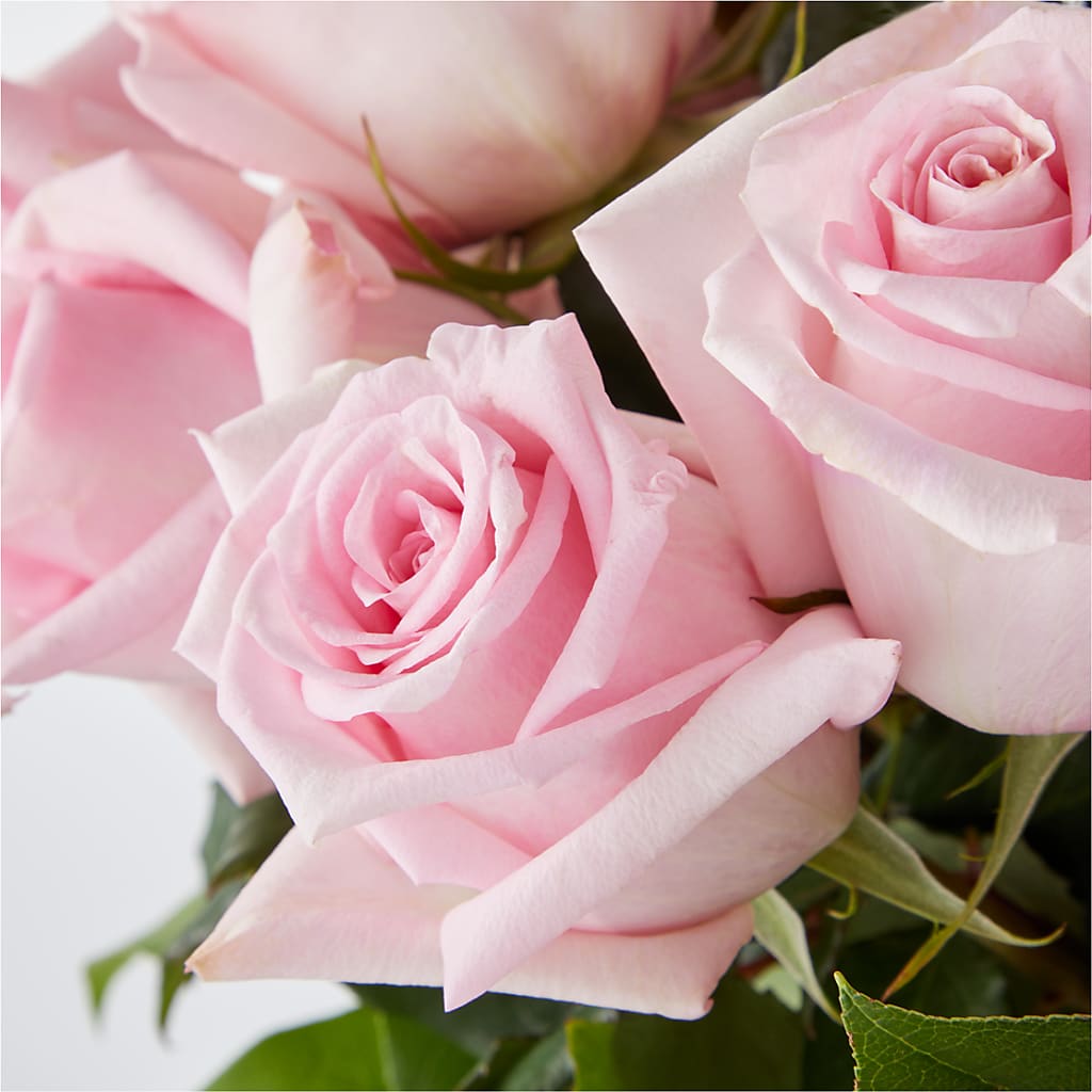 Picture Perfect Pink Rose Bouquet –  Mary Blooms Florist, Port Saint Lucie FL