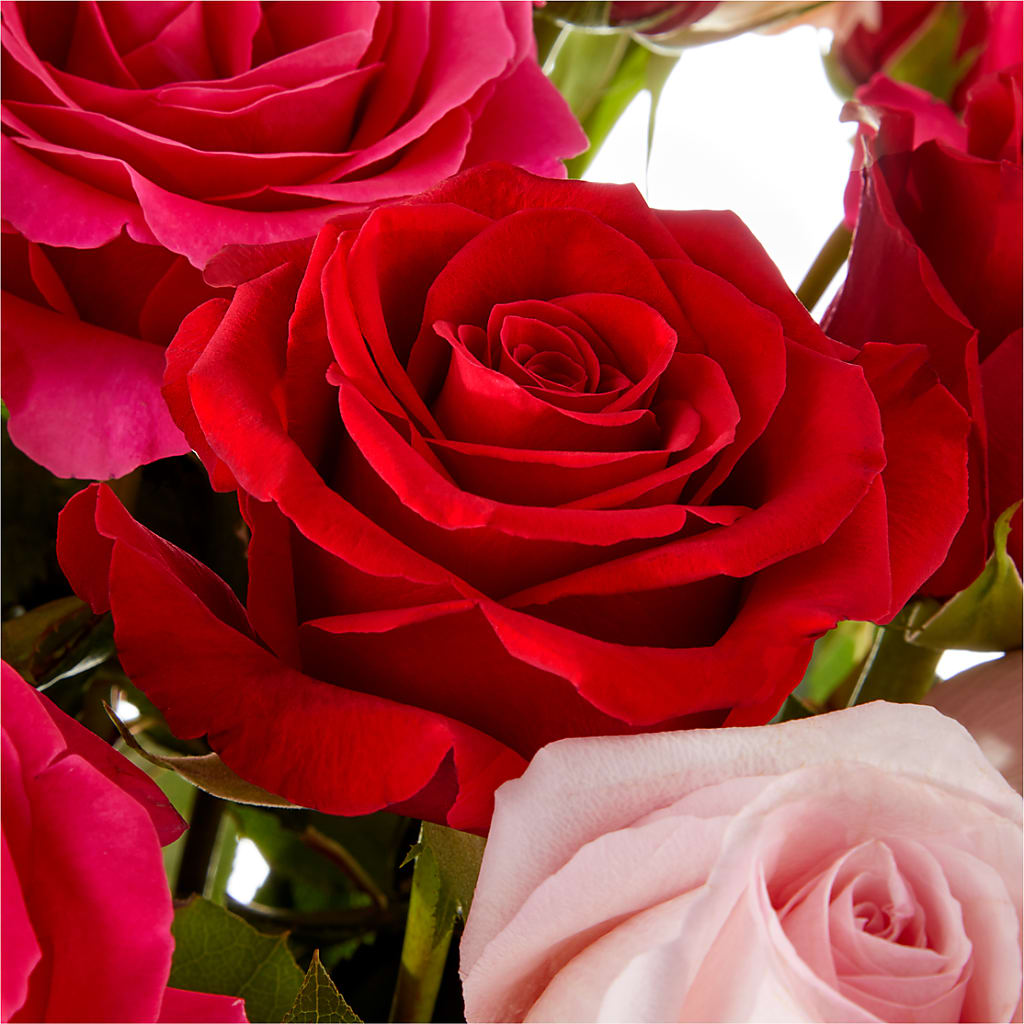 Love Notes Rose Bouquet –  Mary Blooms Florist, Port Saint Lucie FL
