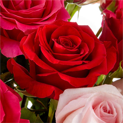 Love Notes Rose Bouquet –  Mary Blooms Florist, Port Saint Lucie FL