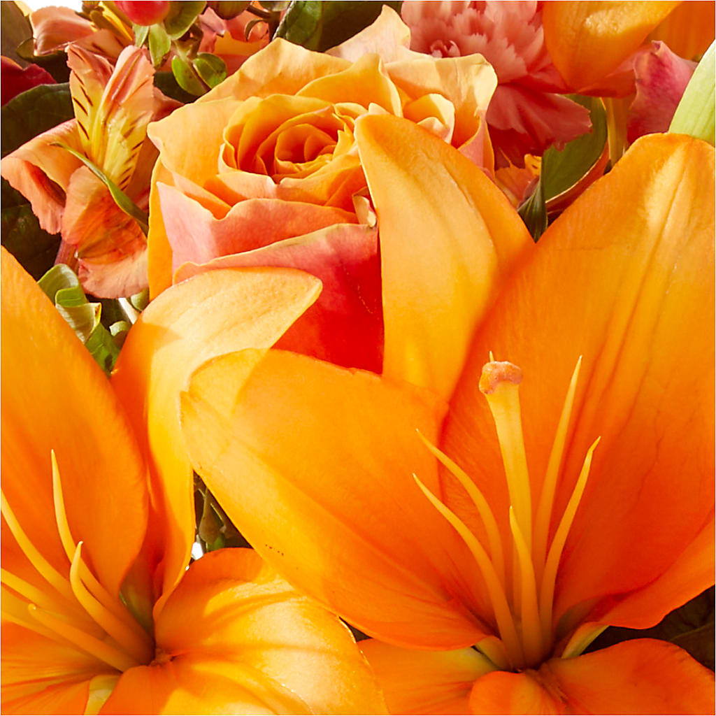 Afternoon Light Bouquet –  Mary Blooms Florist, Port Saint Lucie FL