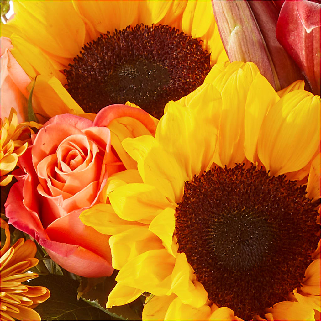 Acorn Lane Bouquet –  Mary Blooms Florist, Port Saint Lucie FL