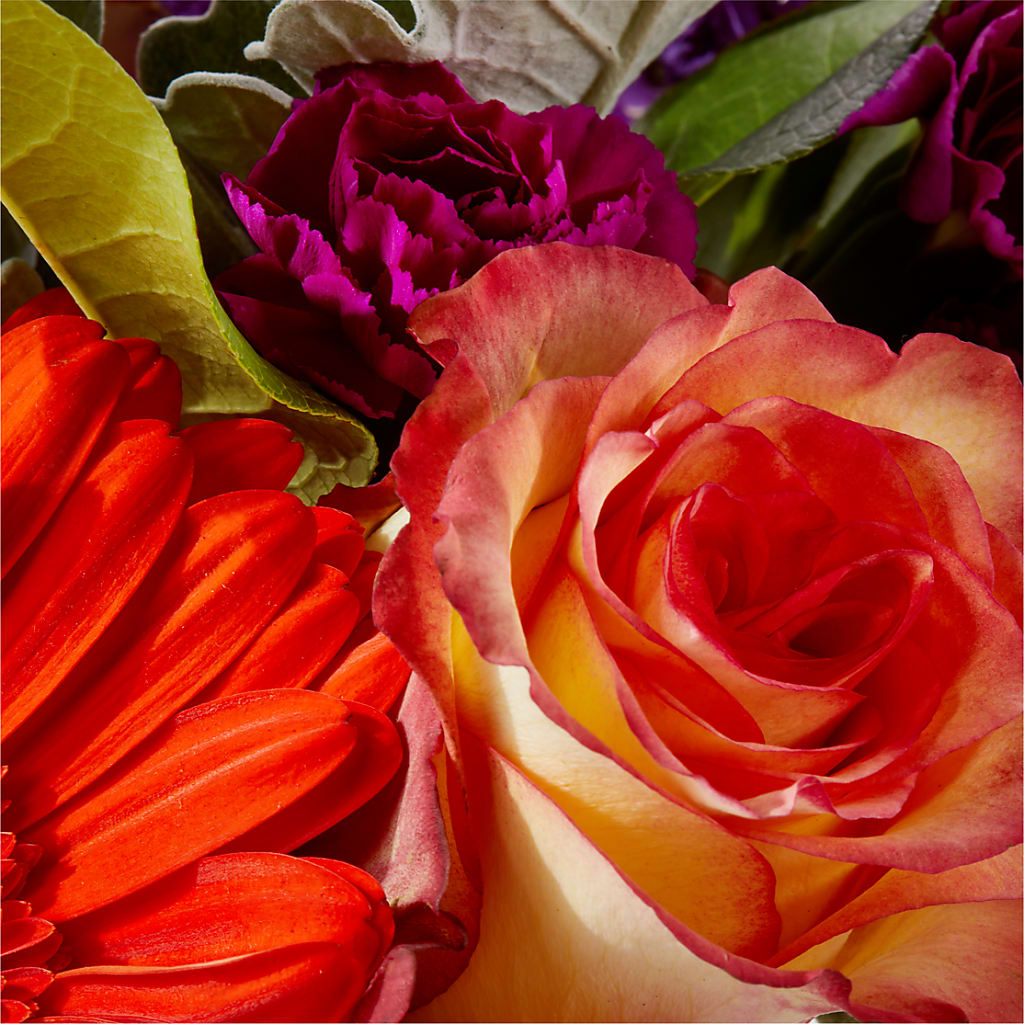 Sangria Bouquet –  Mary Blooms Florist, Port Saint Lucie FL