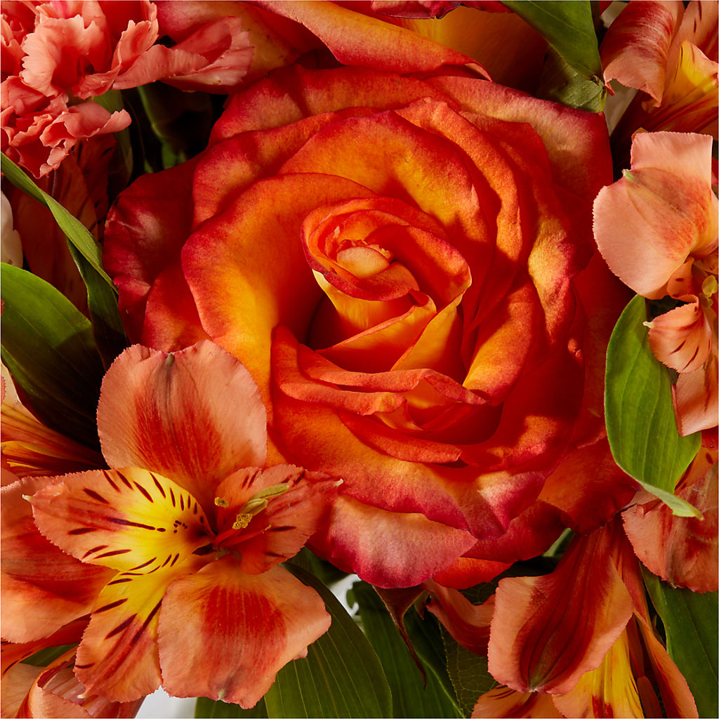 Apricot Glow Bouquet –  Mary Blooms Florist, Port Saint Lucie FL